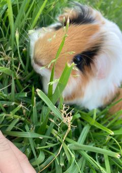 実写ああああああ