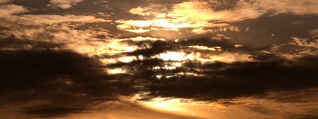 葉谷鷹 悠樹　ーはやたか ゆうきーさんの壁紙画像