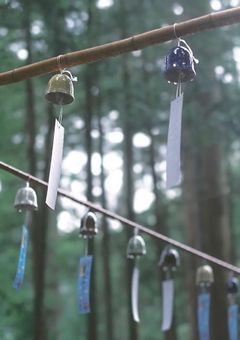 牛沢の兄、イケメンすぎです