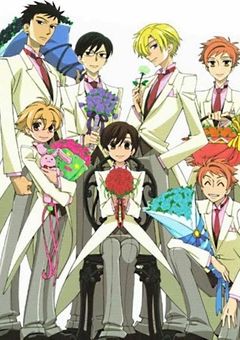 æ¡èåŠé¢ã®ãã¹ãéšãžããããïŒ