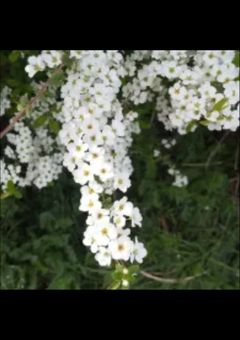 主の雑談とか色々