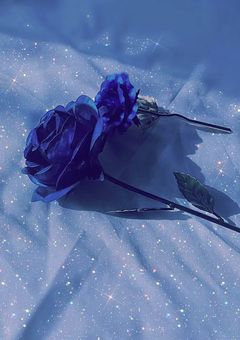 ちゃんとボクを見てよ。【 ビカニカR18 有 】