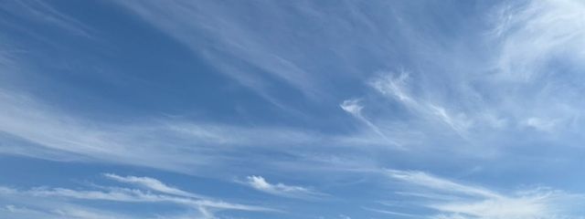 のまさんの壁紙画像