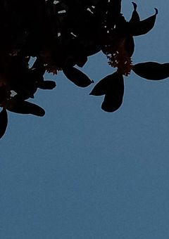 望んだ景色だ♡