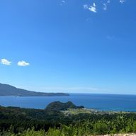 弥生さんのアイコン画像