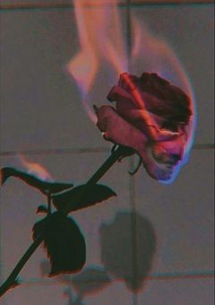 𝓶𝓬𝓽-𝒜 ┊︎ 幽 霊 に 執 着 さ れ て る 件 ．