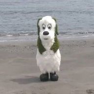 わたがし .さんのアイコン画像