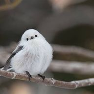 ・さんのアイコン画像