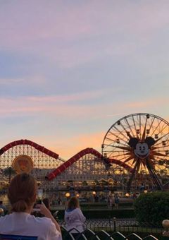 平成フラミンゴの美人メンバー