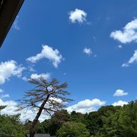 ice.さんのアイコン画像