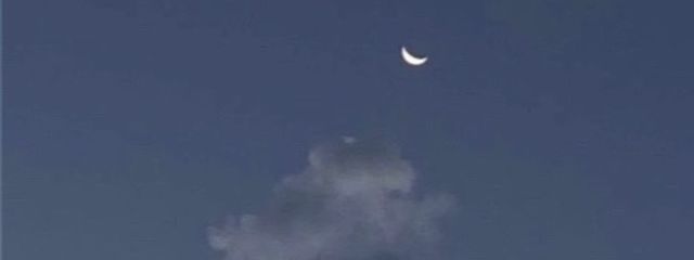 ᩚ  あざみ   ᩚ  @低浮上さんの壁紙画像