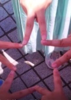 もう、やめてよ！!!