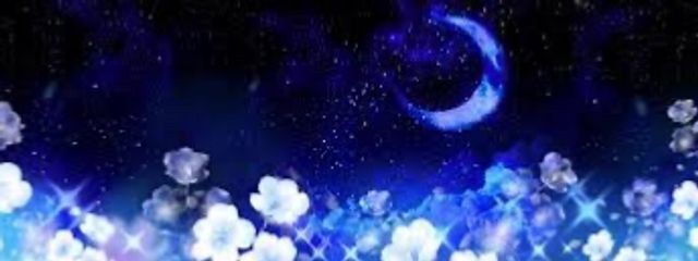 クロねこ ̩͙꒰ঌ💠໒꒱·̩͙ 💙🔥💐  🌸⛩🐾さんの壁紙画像