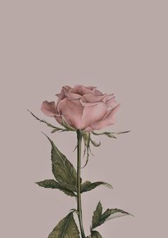 大昇と甘々な時間