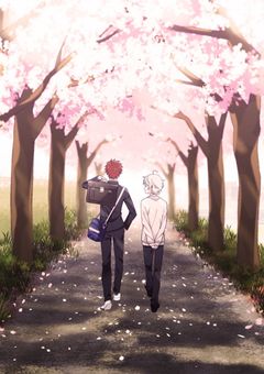 恵美まどかの妹はプロセカの住民だった