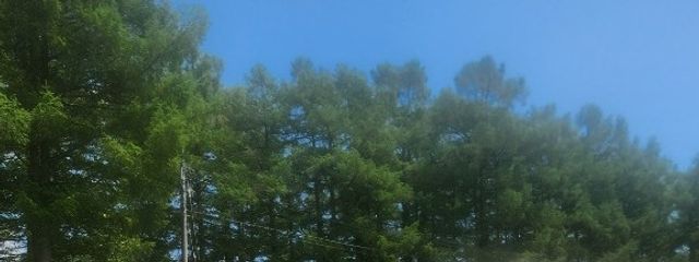 lxoslnさんの壁紙画像