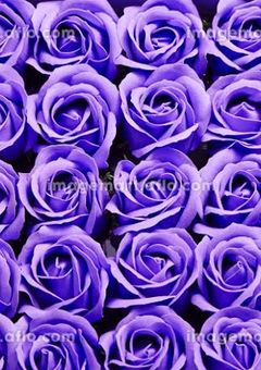 お誕生日おめでとう