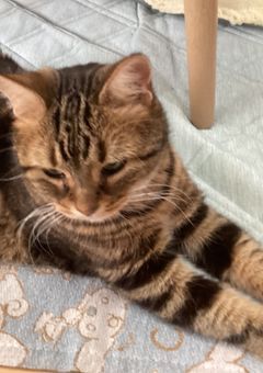 見たい人だけ(2)