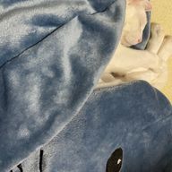 ねこずきさんのアイコン画像