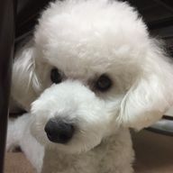 ❤️欅❤️なーこ❤️さんのアイコン画像