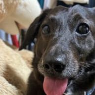 未羽さんのアイコン画像