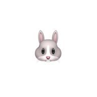 토끼 🌸🐰🌸さんのアイコン画像
