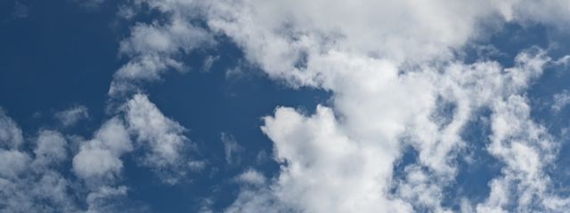 テムみさんの壁紙画像