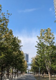 レインボーパワー9！