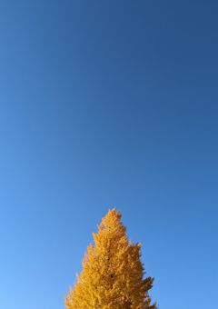 ロッキー〜メンバーを助けるための契約〜