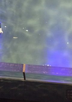 오징어 게임 - 2