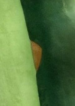 ラッキー×戦士 クローバーラック！