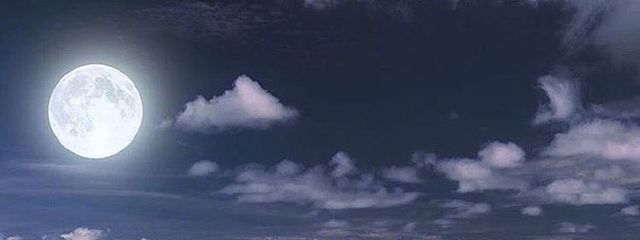 지수さんの壁紙画像