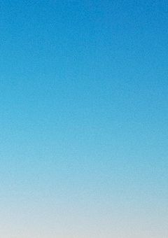 かいささん限定