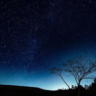 碧さんのアイコン画像