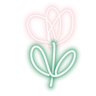 🌷ちゅーりっぷ🌷さんのアイコン画像
