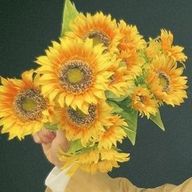 ちぐささんのアイコン画像