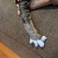 NaseRutさんのアイコン画像