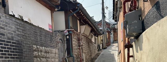 リカさんの壁紙画像