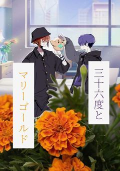 三十六度とマリーゴールド