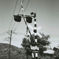 kisa. さんのアイコン画像