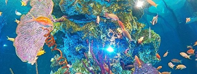 ヘッドフォンさんの壁紙画像