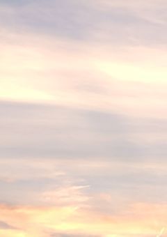 【Njsj】 かわいいきみを愛してあげる【BL短編集】