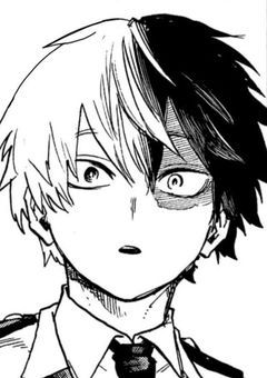   最高傑作の双子 . 