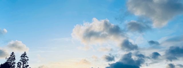 ユウ🍀🫧さんの壁紙画像