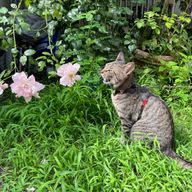 ユウ🍀🫧さんのアイコン画像