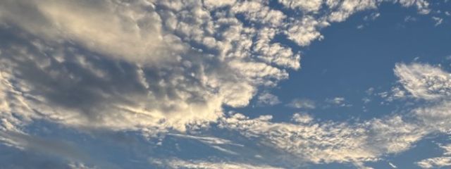 心音  ♥️🪼さんの壁紙画像