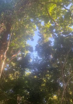 貴方の1番になりたくて