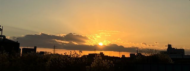 活動休止さんの壁紙画像