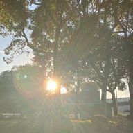 活動休止さんのアイコン画像