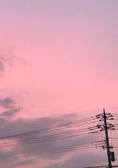 しにたいけれどきょうのひまでいきてきた